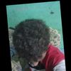 ahmed.hashem194