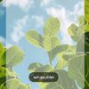 www.tiktok.cmmhff