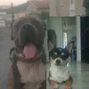 xletmarcus_10