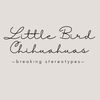 little_bird_chihuahuas