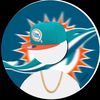 yn.dolphin.fan