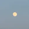 bymoonni