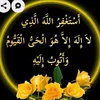 abdulsalam3871