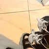 fundsgonee