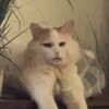 user3td7jqxuxs