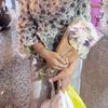 bukan ana