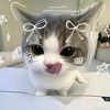 aghbicdefgj_jaehyun