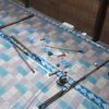 starligth.domesti