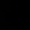 d3si_2411