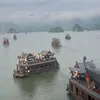 thoan723