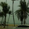 nath_aporn1255889057
