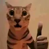 leokann.2acc