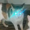 diego.rasya