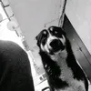 gamletthe_boss1