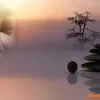 thu.trang.vo2