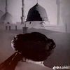razaullah8198