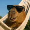 Capivara Curtindo a Vida