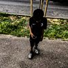 nathan93101