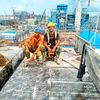 andiodang08