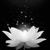 hong.vy4147