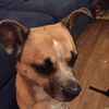 mrsquiggles2006