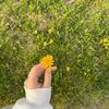 amera_0181