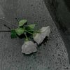 owhallo07