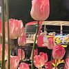 fatin.matuzain