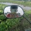 arza.bagas5