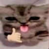 pjg.p