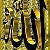 salah.abed15