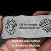 shafialmahdi0