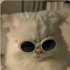 lolito_lolo6gmail0
