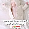 shayan.ali4217