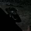 .yann_68