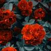 there2bloom