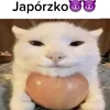 kubaak3