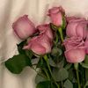 soso140609532
