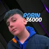 robin36000