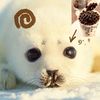 sillysealpuppi