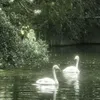 s_oraa11