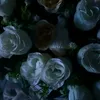 fiore_rosa_mag