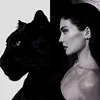 zn_as56
