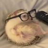 eriz0dormido