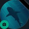 mahmoud.ahmad430