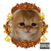 andrewp5078