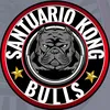 santuariokongbulls