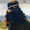amir.505.is8