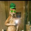 juan.chinchilla3