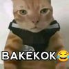 sanzzz.kail.pancing
